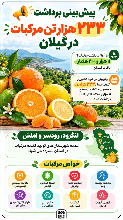 اینفوگرافیک؛ پیش‌بینی برداشت ۲۳۳ هزار تُن مرکبات در گیلان