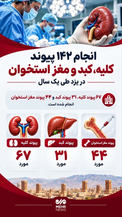 اینفوگرافیک؛ ثبت ۱۴۲ مورد پیوند کلیه، کبد و مغز استخوان در یزد