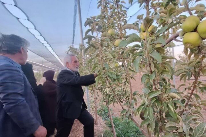 آغاز پویش نذر درخت برای توسعه عتبات عالیات در استان مرکزی
