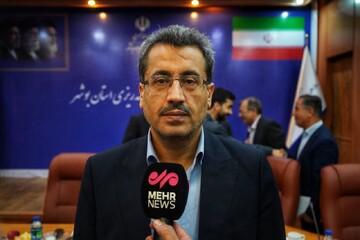 تحقق ۷۵ درصدی درآمدهای استان بوشهر در سال جاری