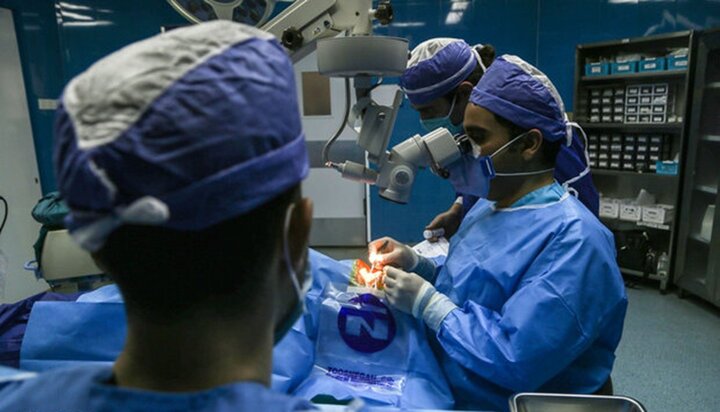 Iran ranks among world’s top 5 countries in eye stem cell