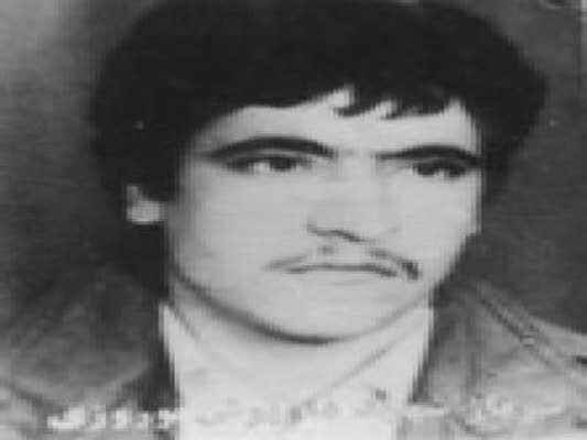 کتابخانه شخصی شهید «داریوش نوروزی» روشن بخش روستای چنار سفلی