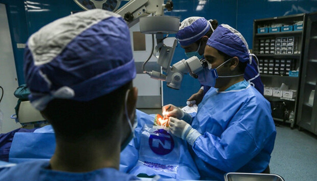 Iran ranks among world’s top 5 countries in eye stem cell