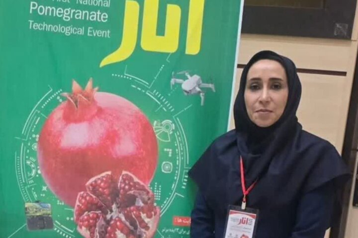 یاقوت سرخ ساوه در انتظار جهانی شدن