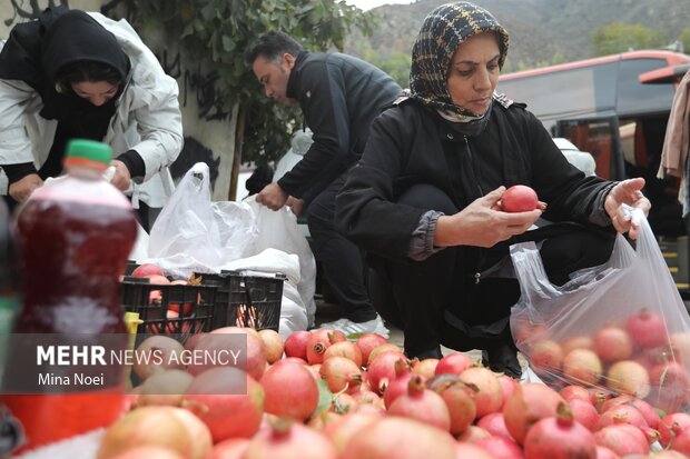 اشتبین میزبان دهمین جشن انار ارس