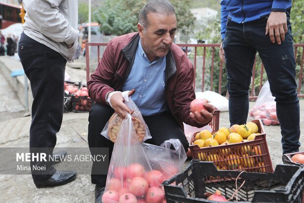 اشتبین میزبان دهمین جشن انار ارس