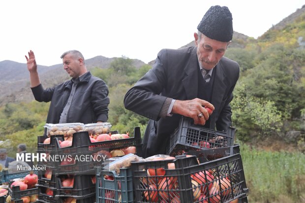 اشتبین میزبان دهمین جشن انار ارس