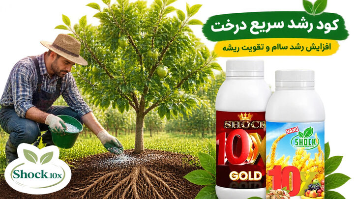 بهترین کود برای درختان میوه در چهار فصل؛ راهنمای مصرف کود شوک ۱۰x