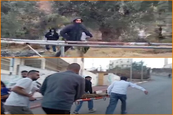 حملهور شدن صهیونیستها به خانواده فلسطینی هنگام برداشت زیتون حملهور شدن صهیونیستها به خانواده فلسطینی هنگام برداشت زیتون