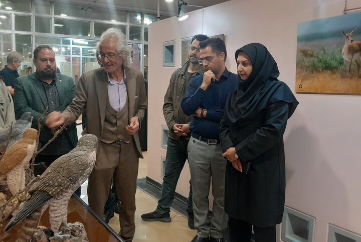 کرمانی: نمایشگاه‌های حیات‌وحش به پیشگیری از شکار کمک می‌کنند