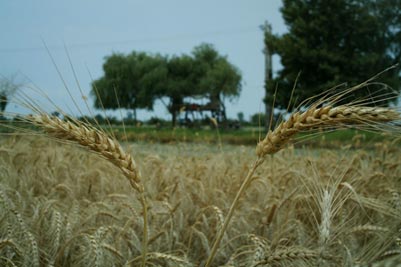 اقتصاد مقاومتی به معنای ریاضت و سختی اقتصادی نیست