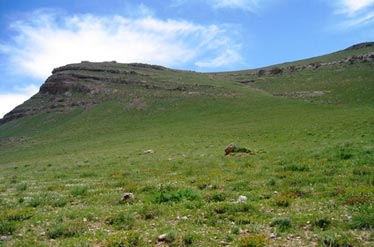 294  پرونده تخلف در زمینه منابع طبیعی بروجرد در دست رسیدگی است