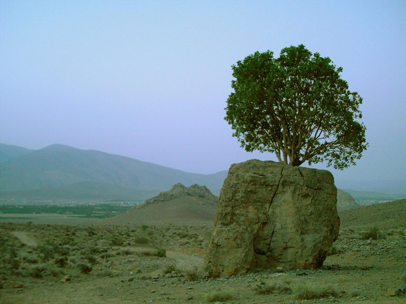 دو روستای شهرستان ارسنجان آبرسانی شد