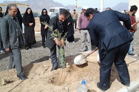 دانشگاه بیارجمند به استقبال روز درختکاری رفت