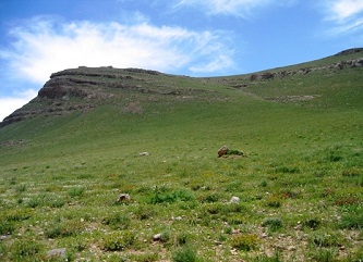 حفاظت از منابع طبیعی موجب توسعه پایدار می شود