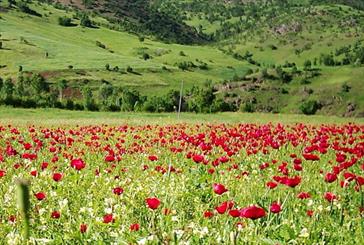 حفاظت از منابع طبیعی وظیفه ای همگانی است