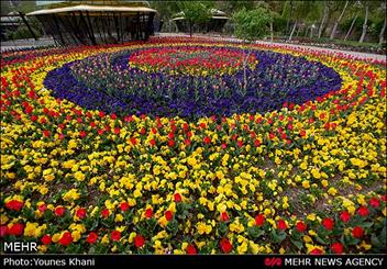 ارتقای فرهنگ نگهداری از گل و گیاه با برگزاری جشنواره های گل و گیاه در مشهد