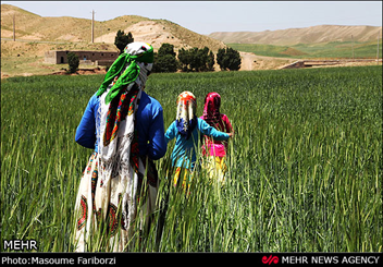 سالانه شش میلیارد ریال برای ترمیم راه های عشایر ایلام نیاز است