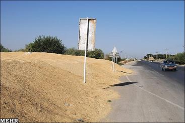 مشکل کمبود سیلوی ذخیره گندم در لرستان/ مجوزهایی که به نتیجه نرسید