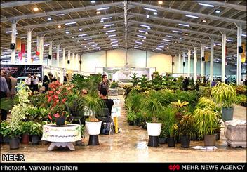 افزایش کلینیکهای تخصصی گل و گیاه در شرق تهران