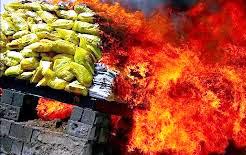 نیم تن مواد مخدر در  گيلان به آتش كشيده شد