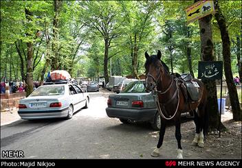 نیمی از مناطق نمونه گردشگری مازندران واگذار شده است