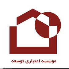 هادیان مدیرعامل موسسه اعتباری توسعه شد