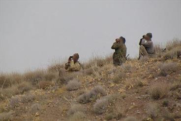 چشم طمع به دنا پایانی ندارد/ دستگیری13 شکارچی با 32 قطعه کبک