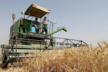 گندمکاران گلستانی نگران وصول مطالبات نباشند