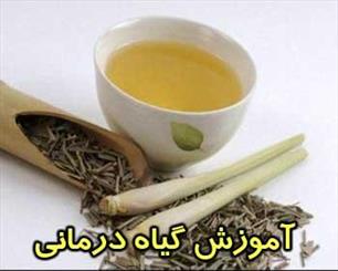 هشتمین کارگاه آموزش طب سنتی و اسلامی در ری برگزار می شود