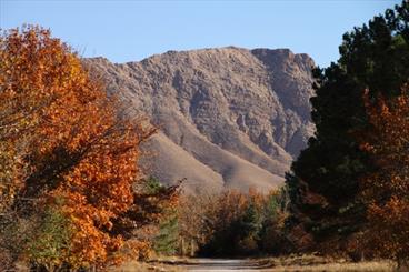 معضل جدی در تامین آب نهالستان های استان سمنان/لزوم تخصیص اعتبار برای اجرای سیستم آبیاری تحت فشار 