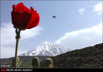 بام ایران در محاصره معادن/ دماوند در رویای ثبت جهانی 