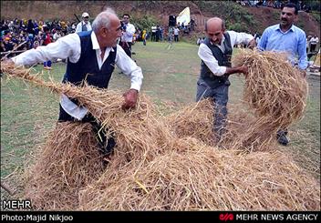 جشن خرمن مازندران در ساری برگزار شد