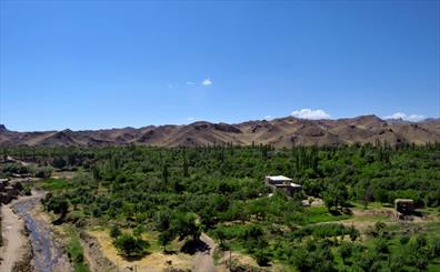قطب کشاورزی چناران در آستانه شهر شدن/ روستای سیدآباد از کمبود امکانات رنج می‌برد