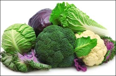 مصرف روزانه ۵ وعده سبزی و میوه/ توجه به نکات بهداشتی