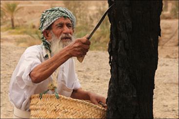 مستند "موکان" در جشنواره محیط زیست فرانسه