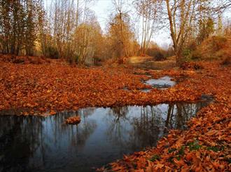 تدوین طرح عملیاتی توسعه و تقویت گردشگری داخلی