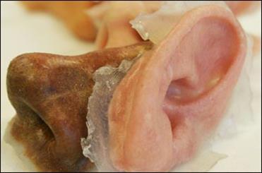 وقتی پوست بدن چاپ می شود/ تولید پوست مصنوعی مطابق با سن و جنس