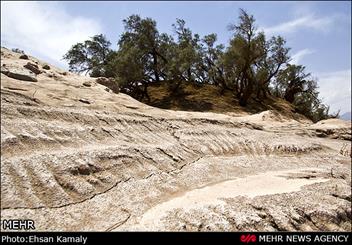 روستائیان به مناطق زندگی خود باز می گردند/ احیا مناطق کویری بستر مناسب برای ایجاد اشتغال