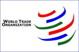 عزم دولت یازدهم در ساماندهی فرآیند الحاق به WTO