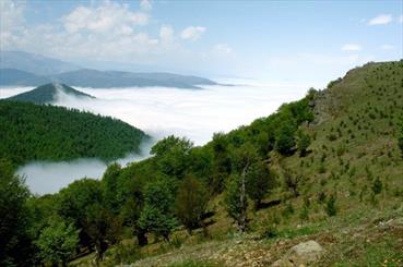 سرانه جنگل در استان سمنان بیش از پنج هزار متر مربع است