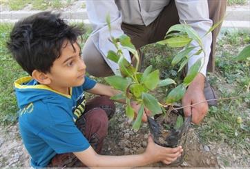 دانش آموزان قرچکی فرهنگ درختکاری را آموزش دیدند