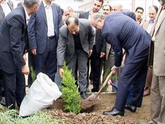 استاندار گيلان در روز درختکاري نهال غرس کرد


