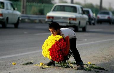 ۷۹ درصد از کودکان خیابانی در شیراز غیر ایرانی هستند