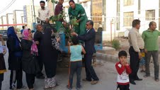 مرحله اول توزیع نهال در کوی فرهنگیان خرمشهر انجام شد