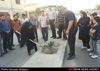 کاشت نهال در بلوارهای گناوه توسط شهروندان صورت گرفت