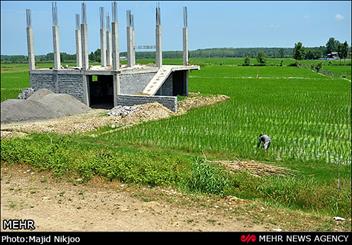 220 هکتار از اراضی شهرستان مهران زیر کشت محصولات کشاورزی رفت