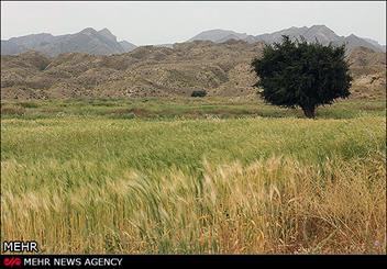 همایش تغییر اقلیم و گرمایش زمین در زنجان برگزار می شود