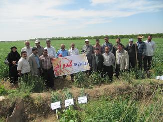 مراسم روز مزرعه گندم آبی در شهرستان البرز برگزار شد
