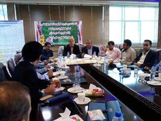 غفلت از قوانین حمایت از معلولین در کهگیلویه و بویراحمد/ نگرانی از روند رو به رشد طلاق